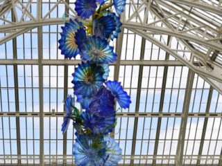 Kew Gardens and the Art of Dan Chihuly